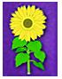 Flower Tile Set